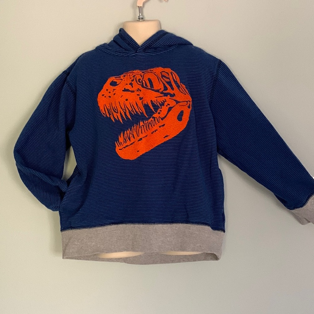 Gymboree heavy cotton graphic hoodie